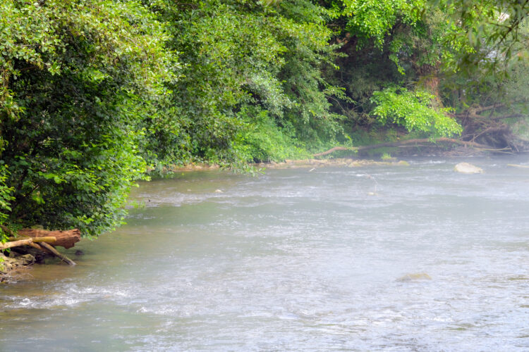 The evolution of Fisherman’s Paradise